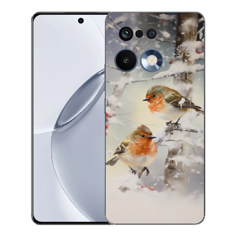Gelový kryt mmCase na Realme 16 Pro+ - ptáčci v zimě