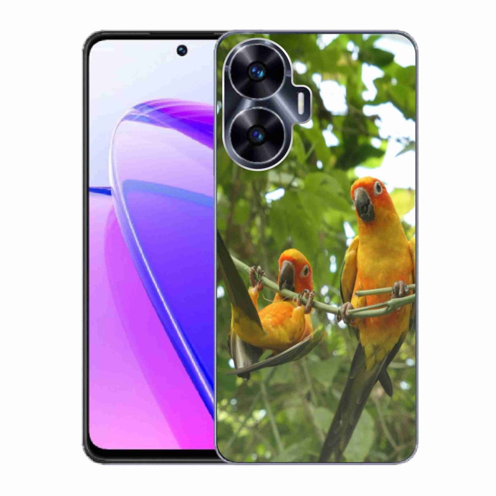 Gelový kryt mmCase na Realme C55 - papoušci aratingy