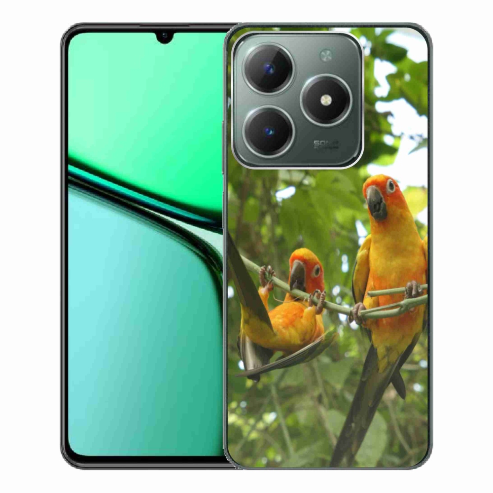Gelový kryt mmCase na Realme C61 - papoušci aratingy
