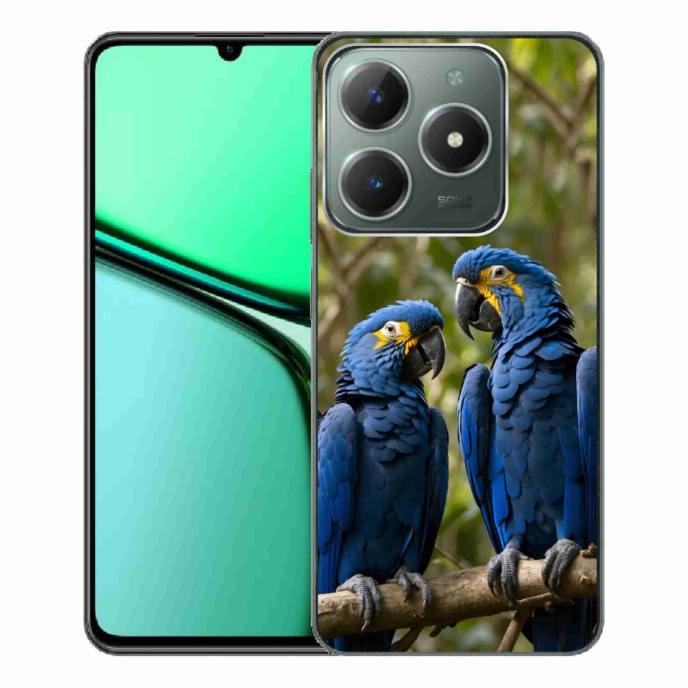 Gelový kryt mmCase na Realme C61 - papouščí duo