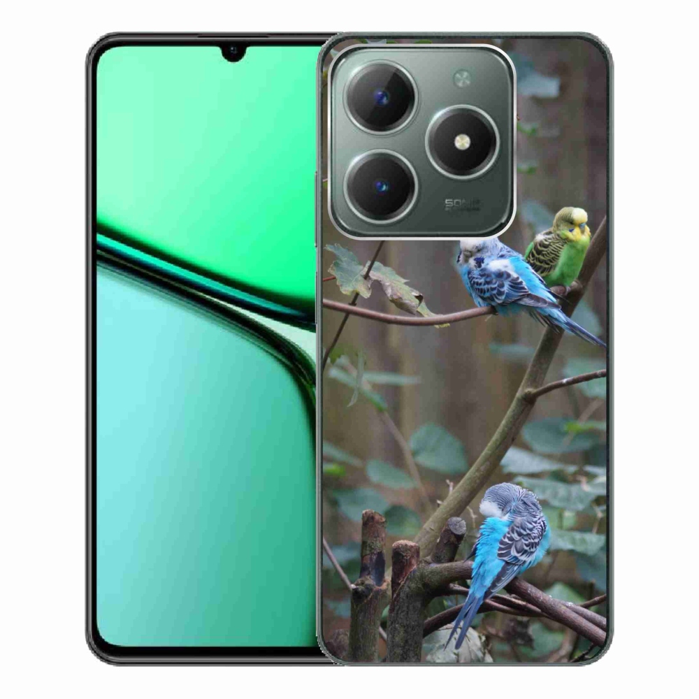 Gelový kryt mmCase na Realme C61 - papoušci na větvi