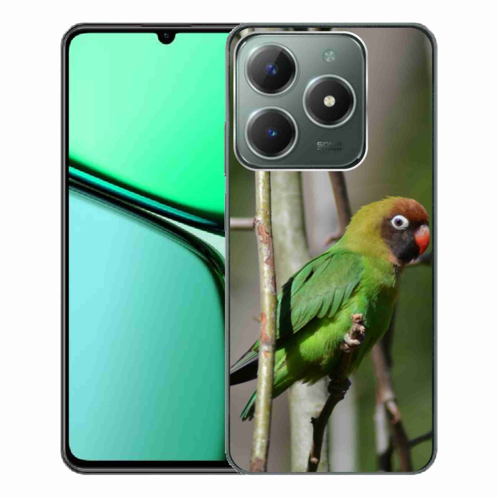 Gelový kryt mmCase na Realme C61 - papoušek agapornis