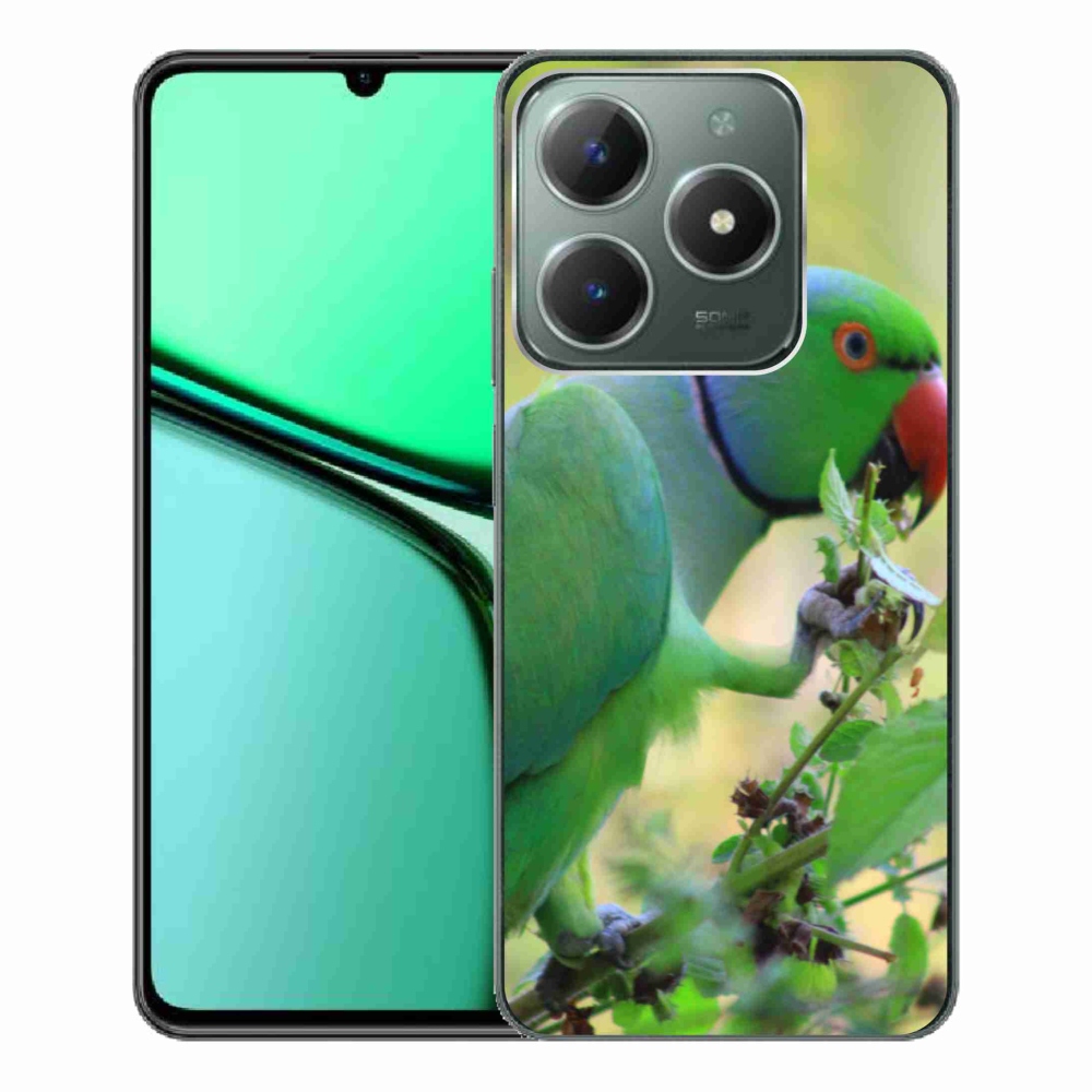 Gelový kryt mmCase na Realme C61 - papoušek alexandr