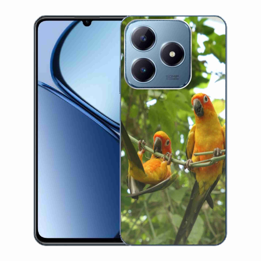 Gelový kryt mmCase na Realme C63 - papoušci aratingy
