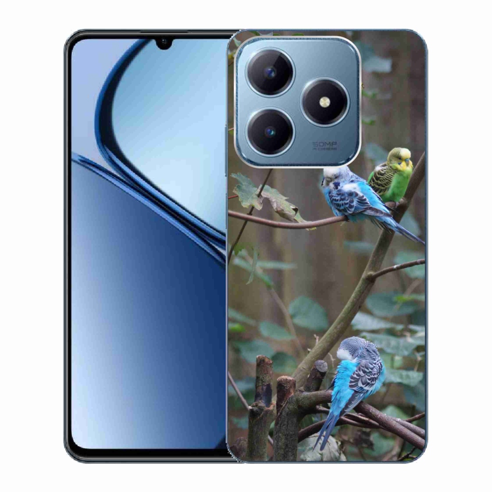 Gelový kryt mmCase na Realme C63 - papoušci na větvi