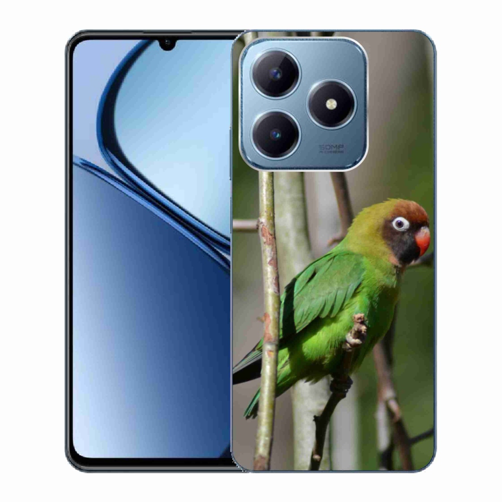 Gelový kryt mmCase na Realme C63 - papoušek agapornis