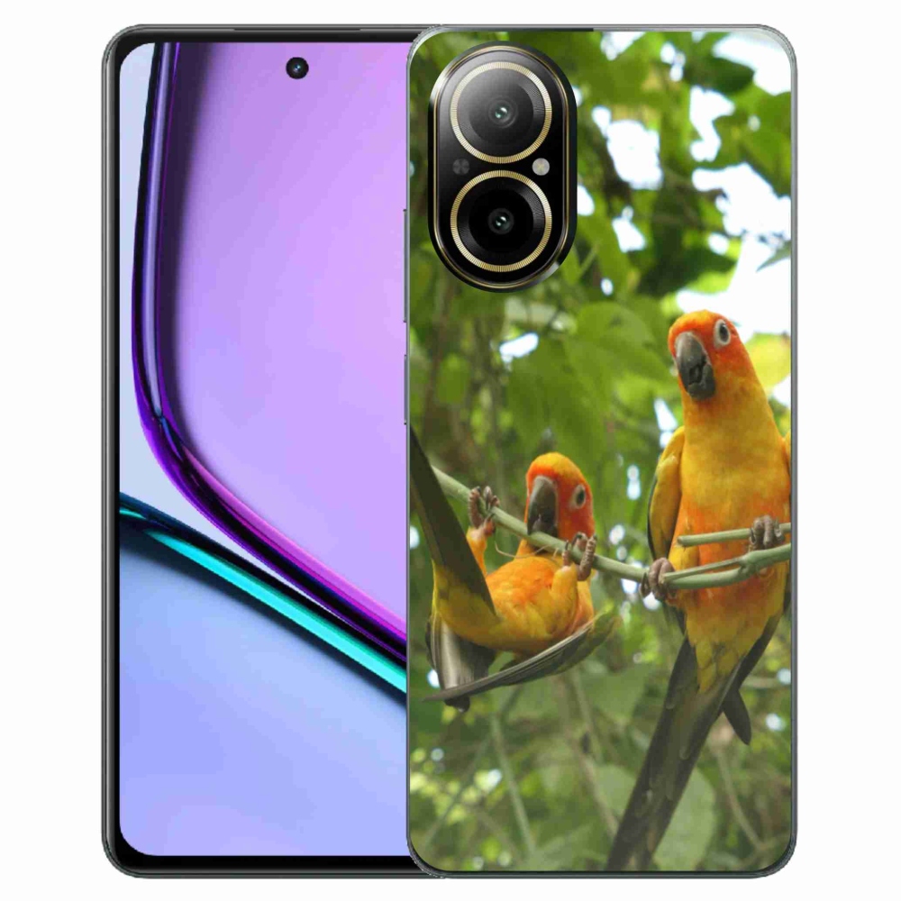 Gelový kryt mmCase na Realme C67 - papoušci aratingy