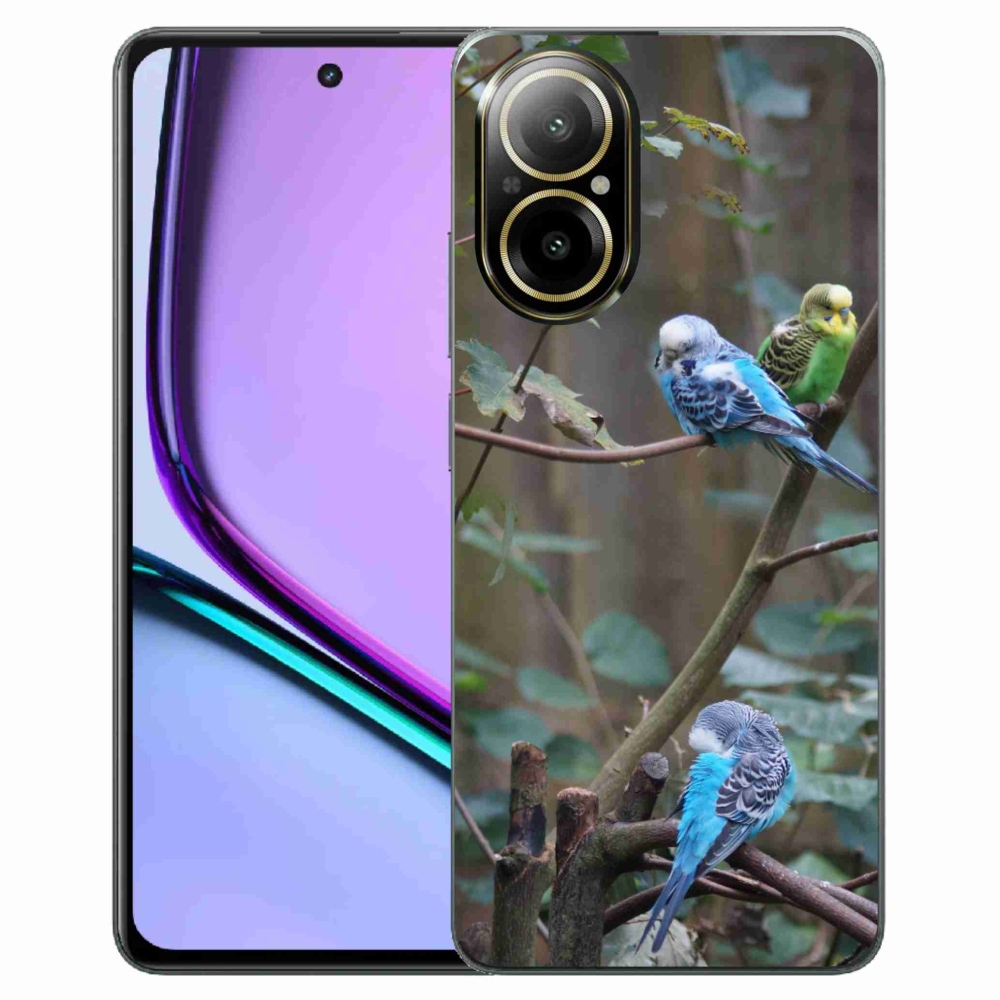 Gelový kryt mmCase na Realme C67 - papoušci na větvi