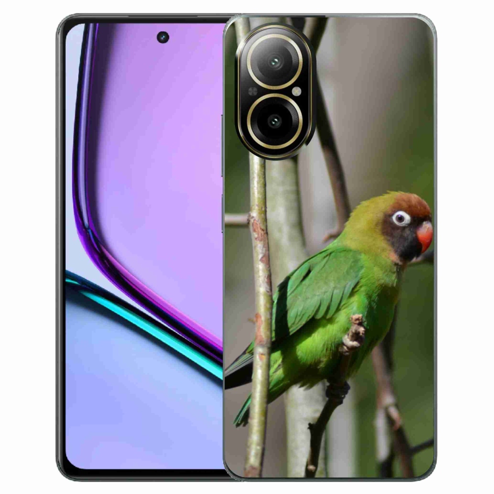 Gelový kryt mmCase na Realme C67 - papoušek agapornis