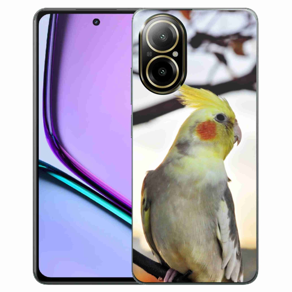 Gelový kryt mmCase na Realme C67 - papoušek korela
