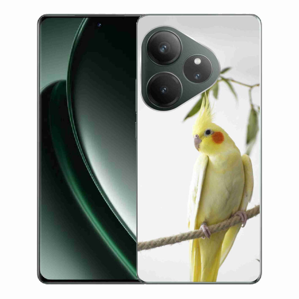 Gelový kryt mmCase na Realme GT 6 5G/GT 6T 5G - papoušek korela chocholatá