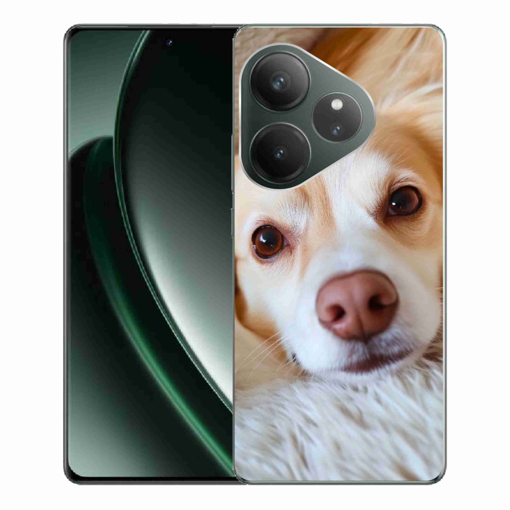Gelový kryt mmCase na Realme GT 6 5G/GT 6T 5G - Roztomilá čivava