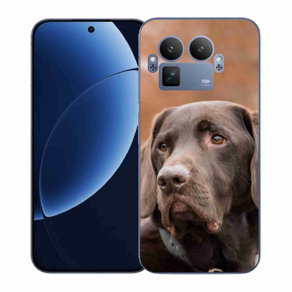 Gelový kryt mmCase na Realme GT 8 Pro - hnědý labrador