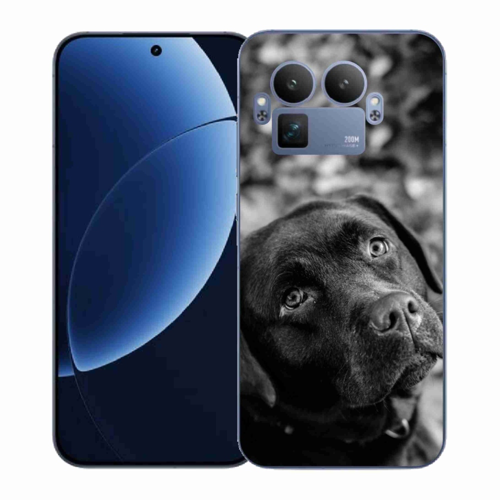 Gelový kryt mmCase na Realme GT 8 Pro - labrador