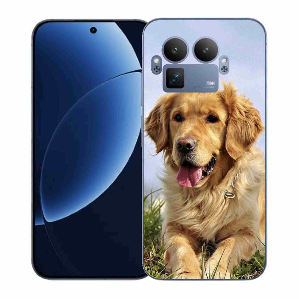 Gelový kryt mmCase na Realme GT 8 Pro - zlatý retrívr