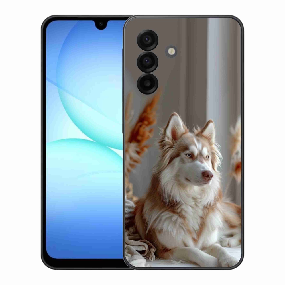 Gelový kryt mmCase na Samsung Galaxy A17 4G/5G - klidný sibiřský husky
