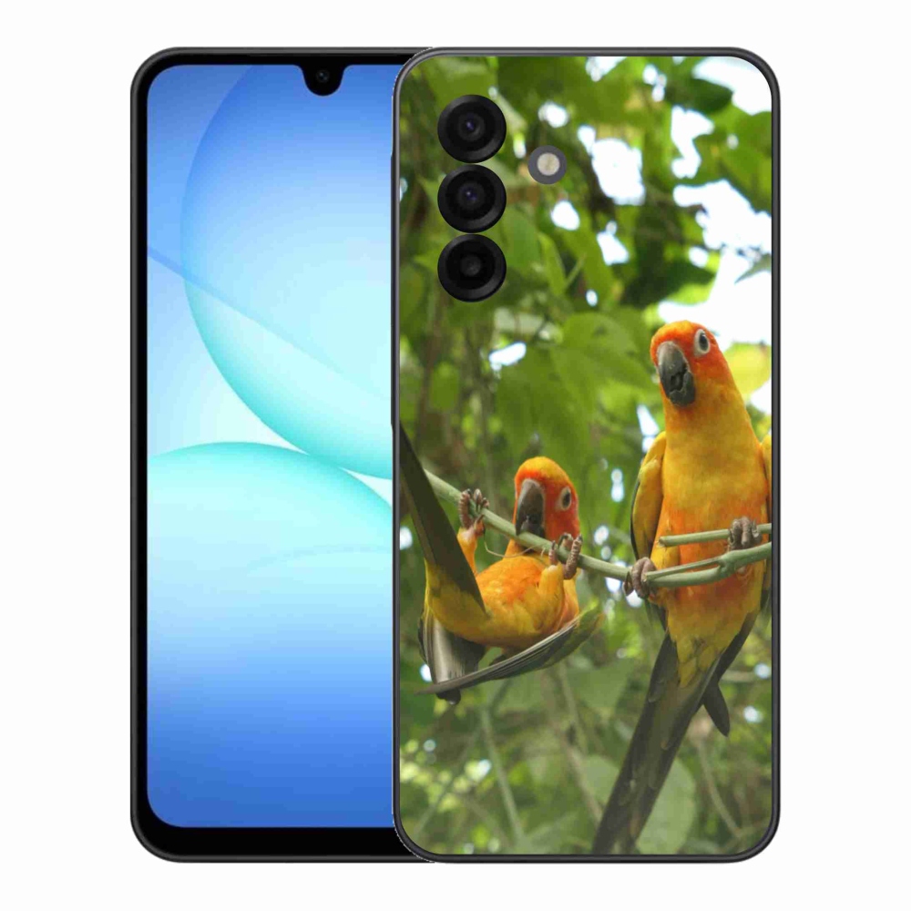 Gelový kryt mmCase na Samsung Galaxy A17 4G/5G - papoušci aratingy