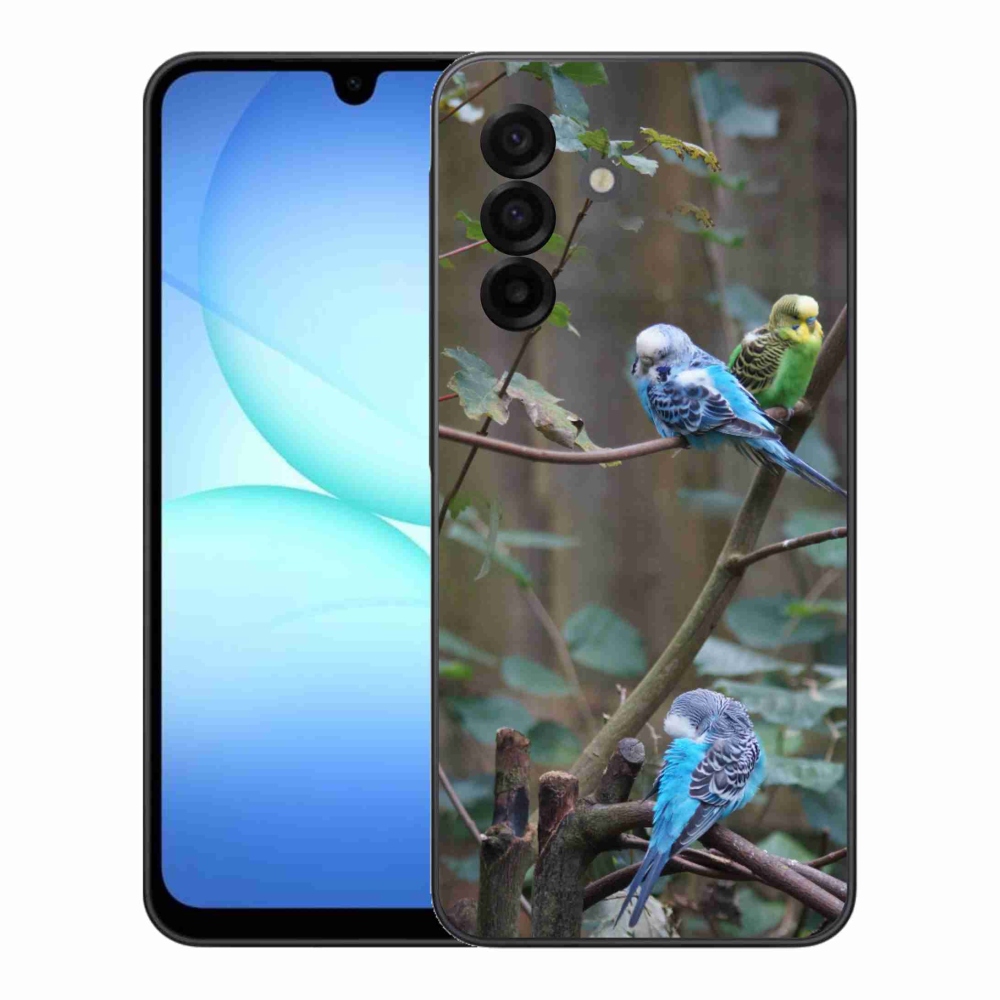 Gelový kryt mmCase na Samsung Galaxy A17 4G/5G - papoušci na větvi
