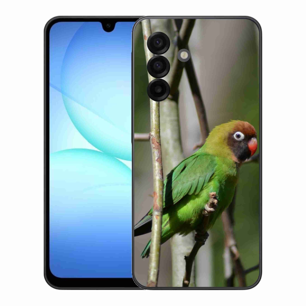 Gelový kryt mmCase na Samsung Galaxy A17 4G/5G - papoušek agapornis