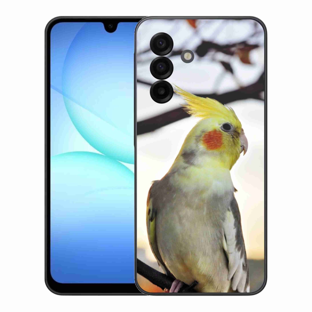 Gelový kryt mmCase na Samsung Galaxy A17 4G/5G - papoušek korela
