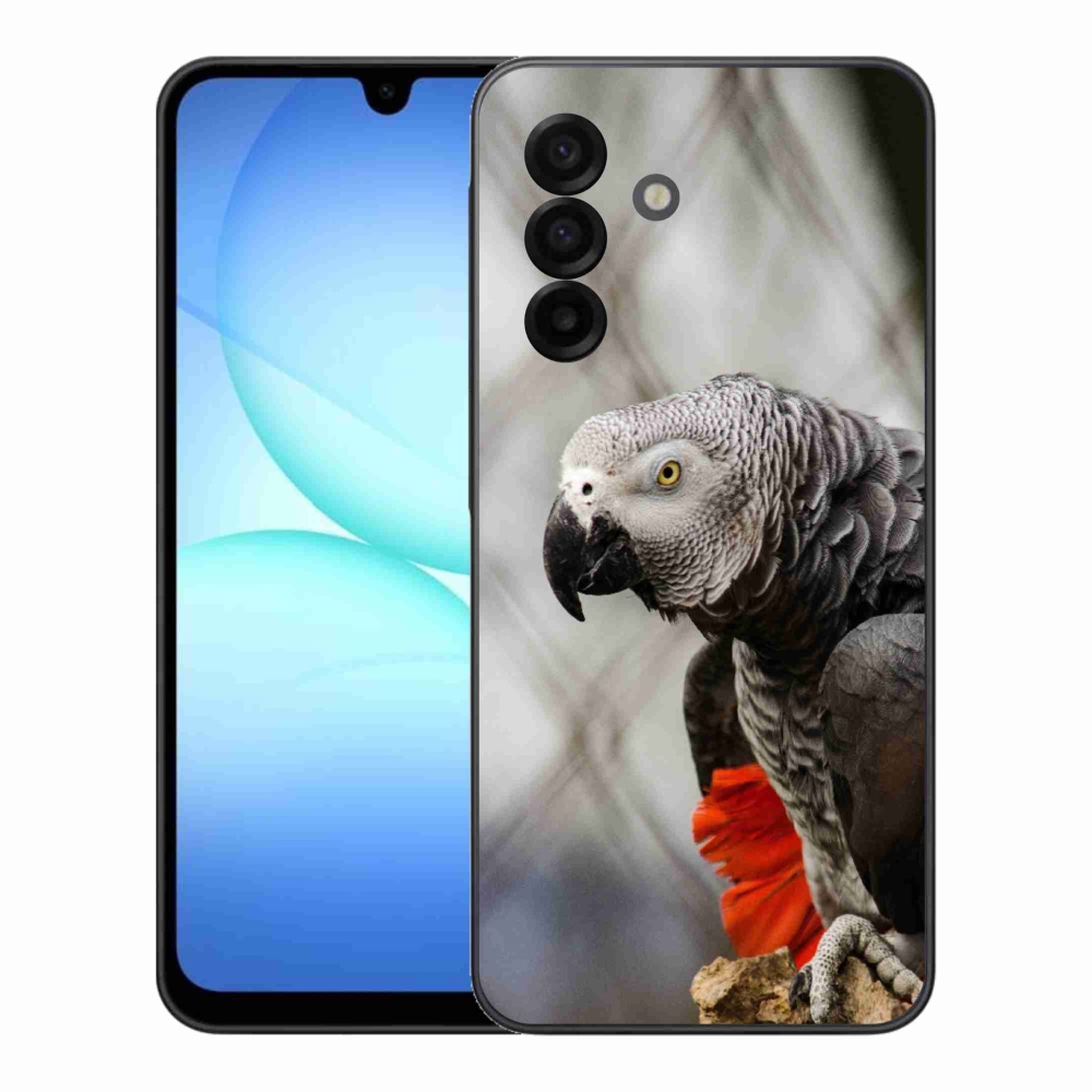 Gelový kryt mmCase na Samsung Galaxy A17 4G/5G - papoušek žako 3