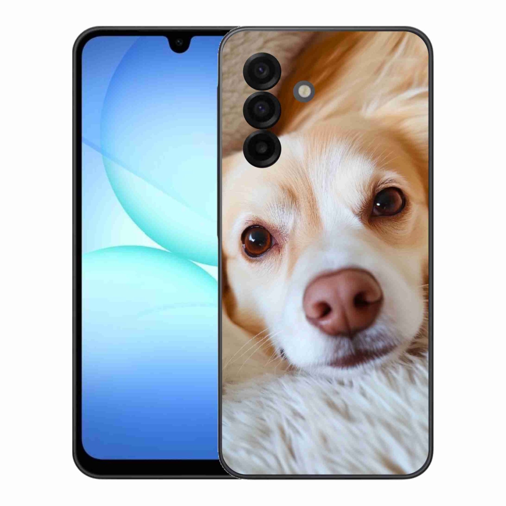 Gelový kryt mmCase na Samsung Galaxy A17 4G/5G - Roztomilá čivava