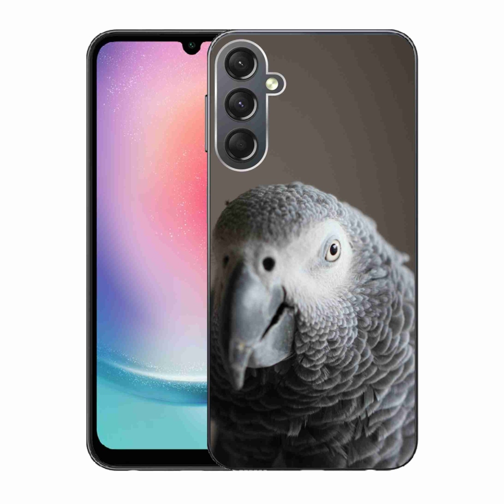 Gelový kryt mmCase na Samsung Galaxy A24 - papoušek žako 2