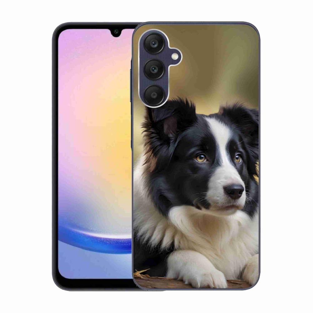 Gelový kryt mmCase na Samsung Galaxy A25 5G - border kolie 2