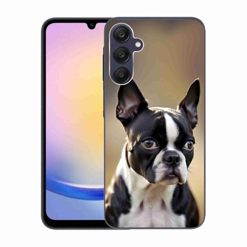 Gelový kryt mmCase na Samsung Galaxy A25 5G - bostonský teriér
