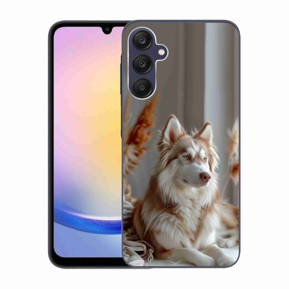 Gelový kryt mmCase na Samsung Galaxy A25 5G - klidný sibiřský husky