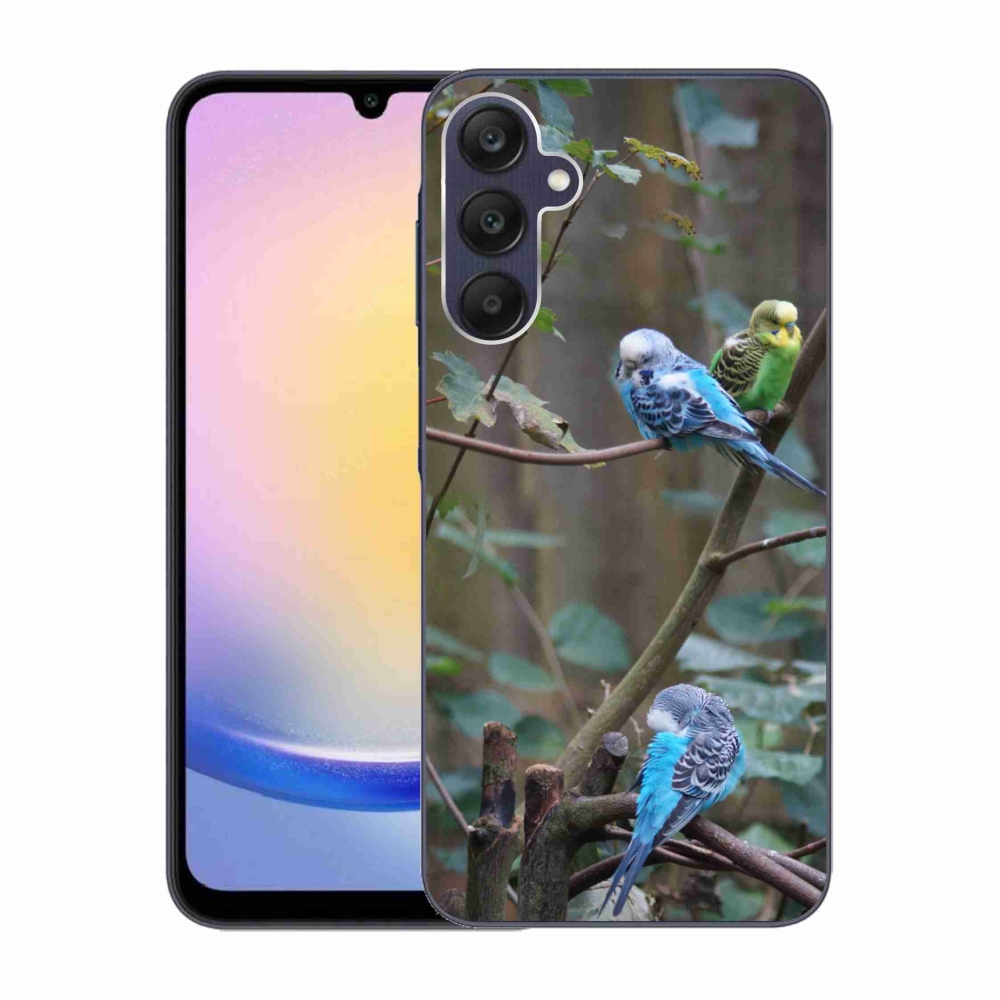 Gelový kryt mmCase na Samsung Galaxy A25 5G - papoušci na větvi