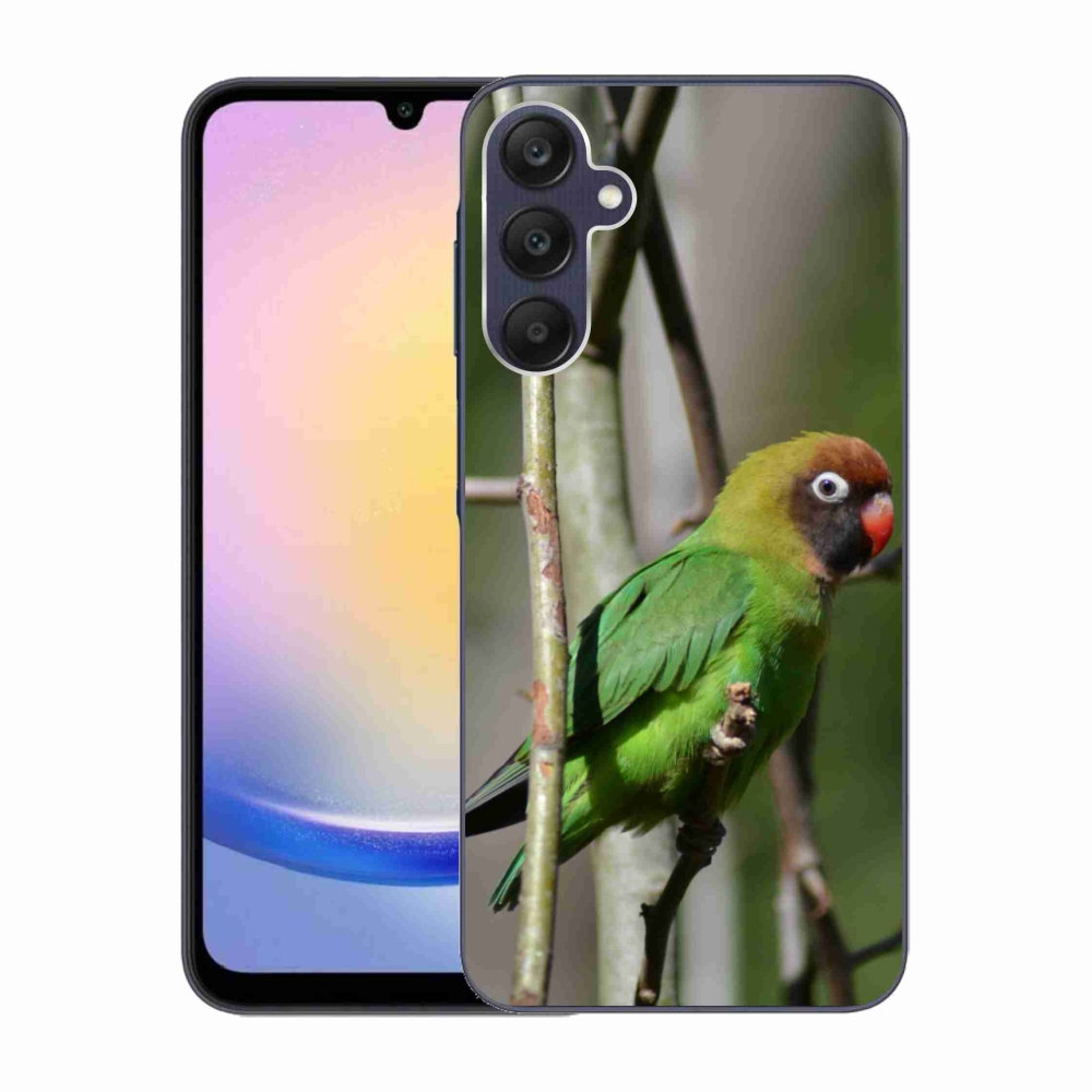 Gelový kryt mmCase na Samsung Galaxy A25 5G - papoušek agapornis