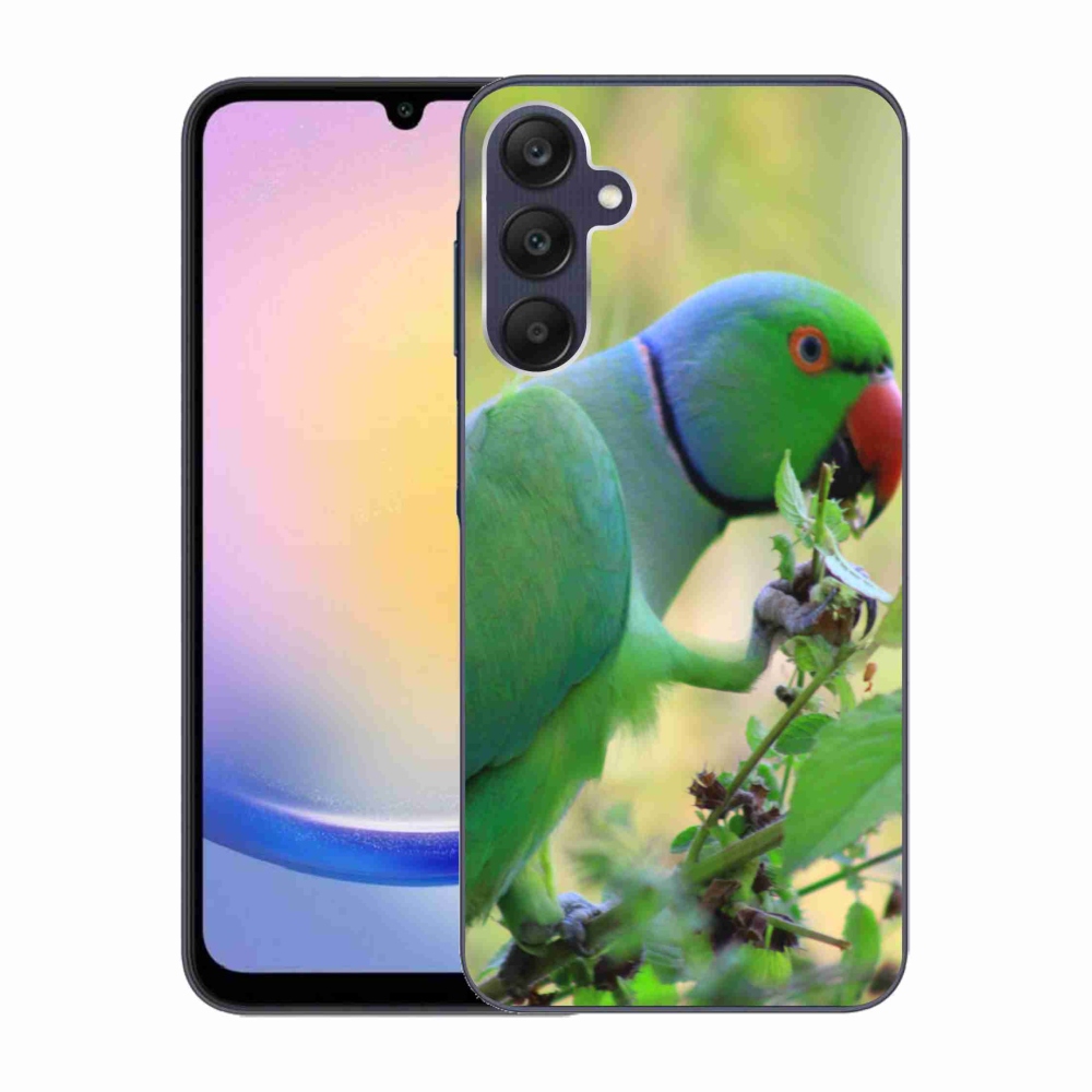 Gelový kryt mmCase na Samsung Galaxy A25 5G - papoušek alexandr