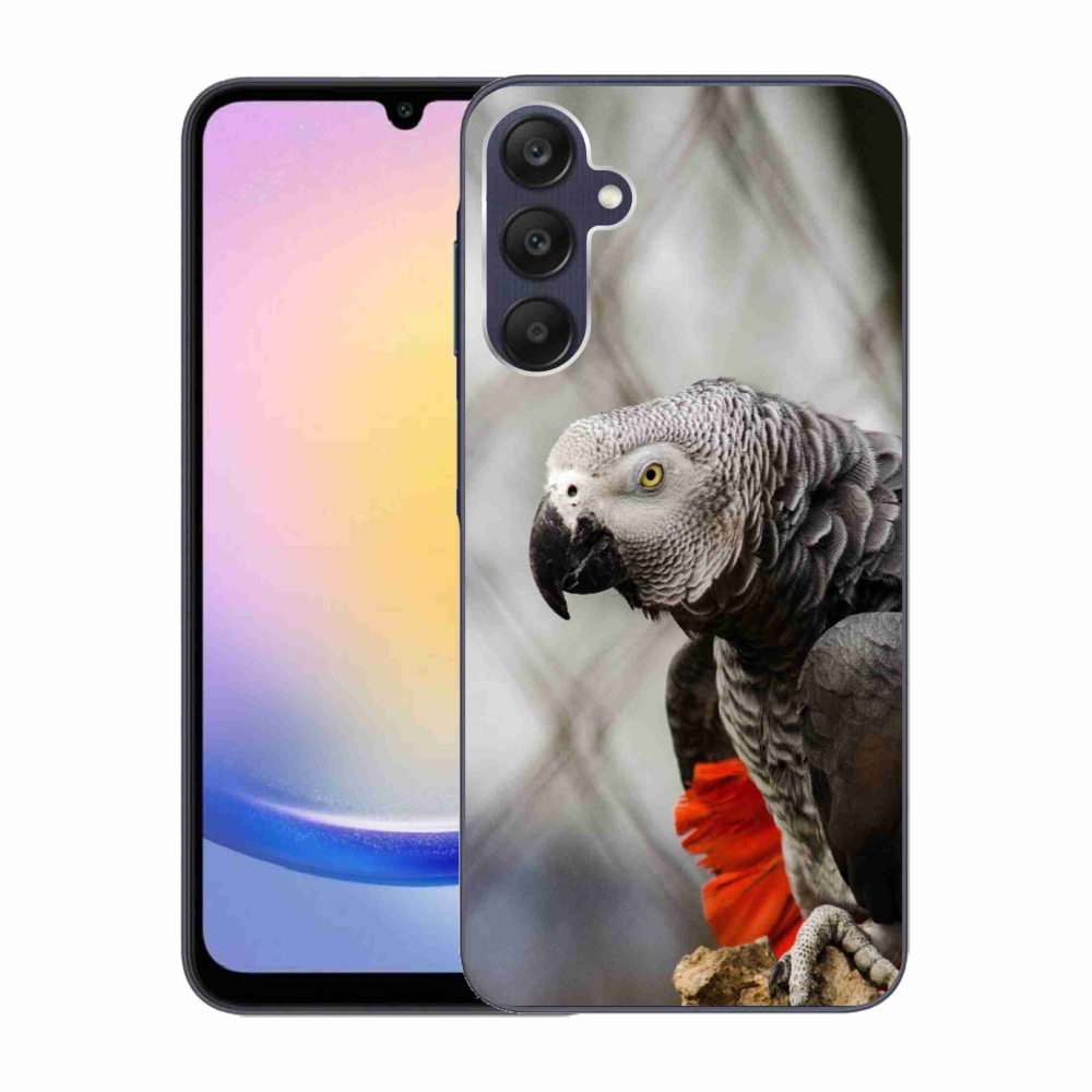 Gelový kryt mmCase na Samsung Galaxy A25 5G - papoušek žako 3