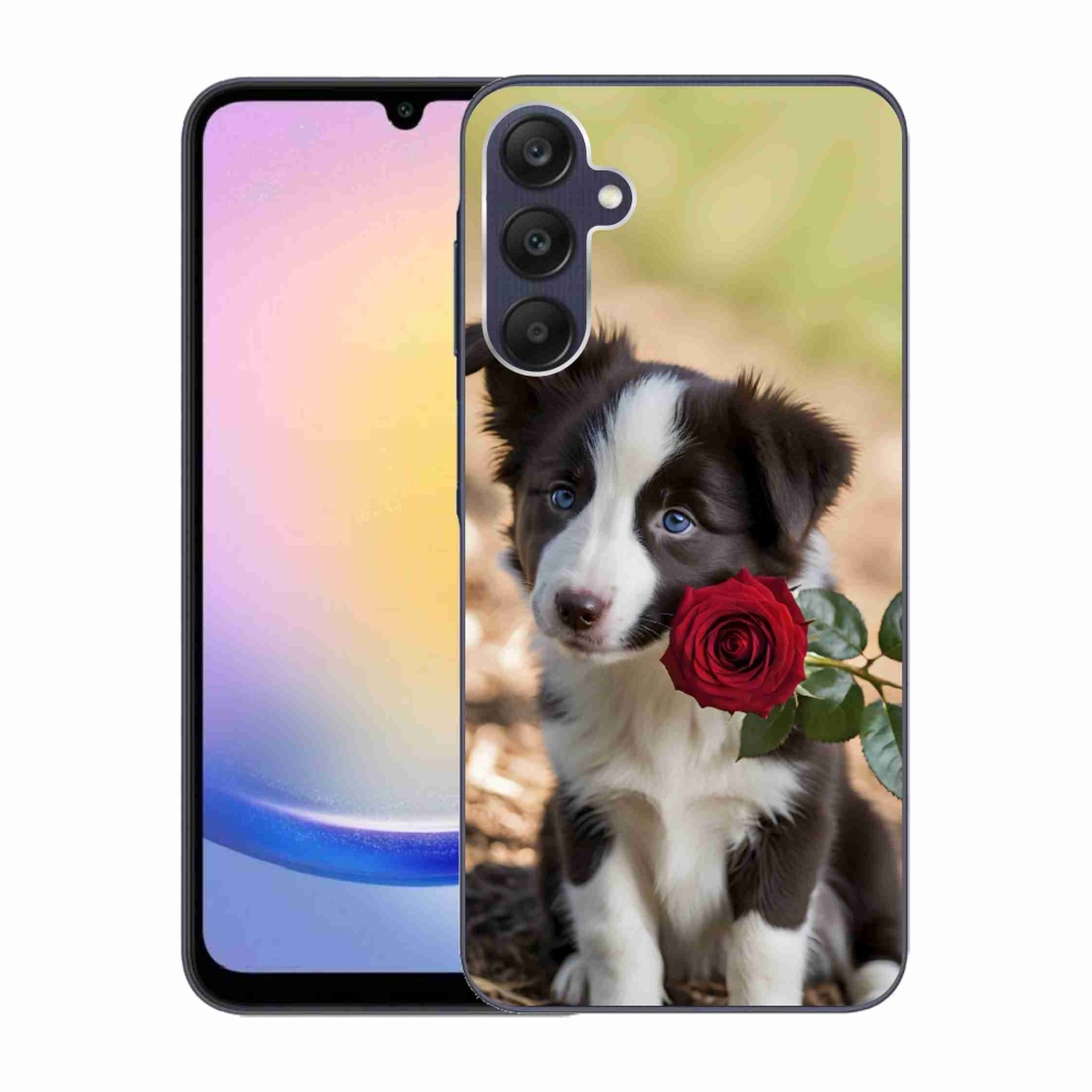 Gelový kryt mmCase na Samsung Galaxy A25 5G - roztomilá border kolie s růží