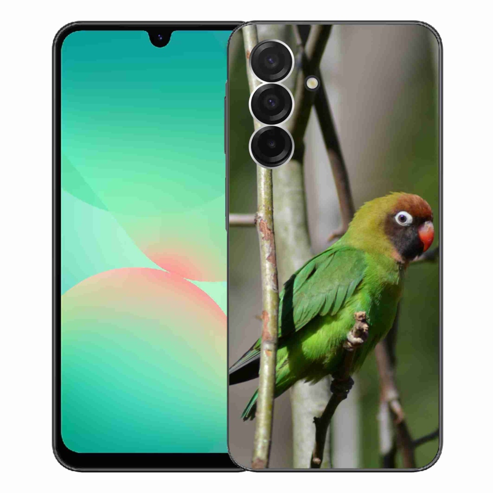 Gelový kryt mmCase na Samsung Galaxy A26 5G - papoušek agapornis