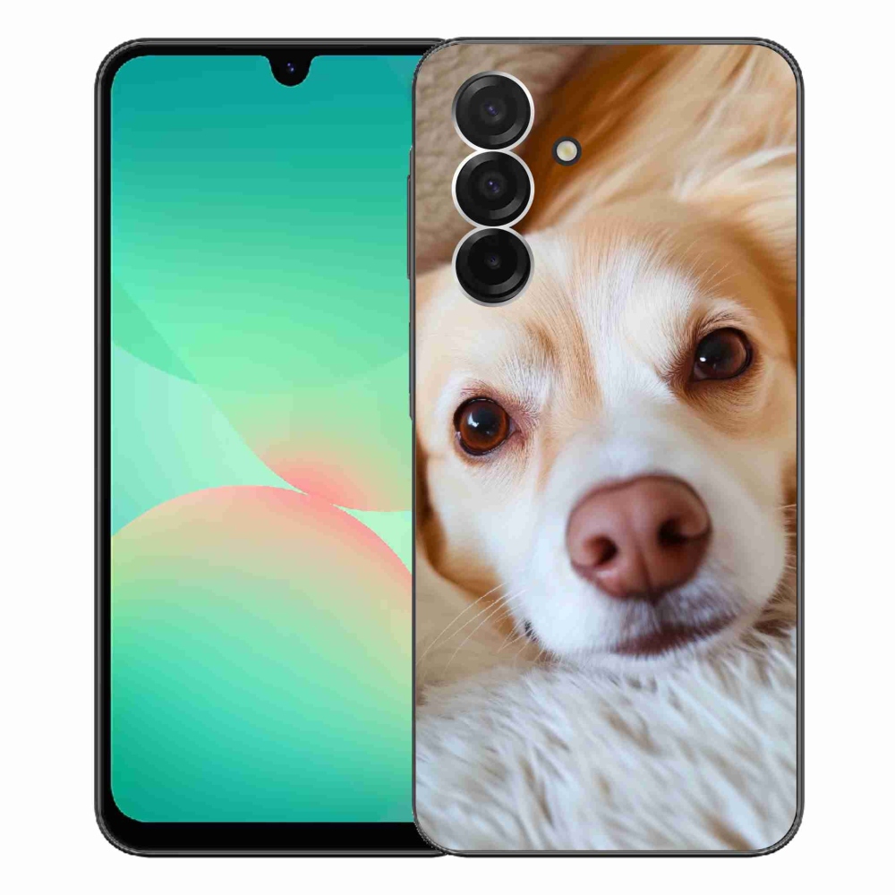 Gelový kryt mmCase na Samsung Galaxy A26 5G - Roztomilá čivava