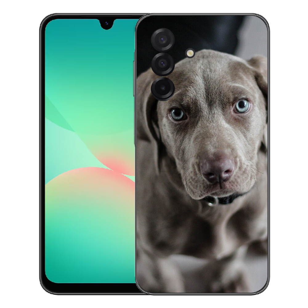 Gelový kryt mmCase na Samsung Galaxy A27 5G - výmarský ohař