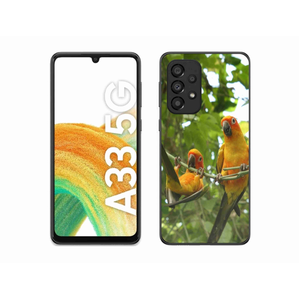 Gelový kryt mmCase na Samsung Galaxy A33 - papoušci aratingy