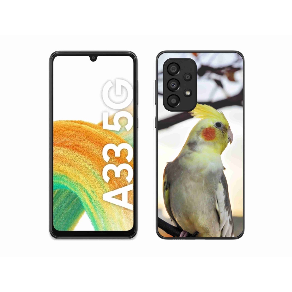 Gelový kryt mmCase na Samsung Galaxy A33 - papoušek korela