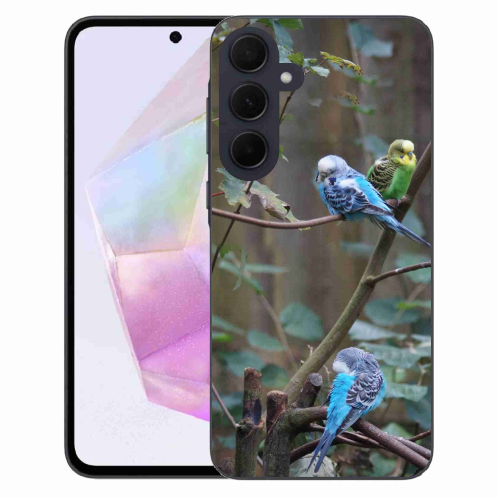 Gelový kryt mmCase na Samsung Galaxy A35 5G - papoušci na větvi