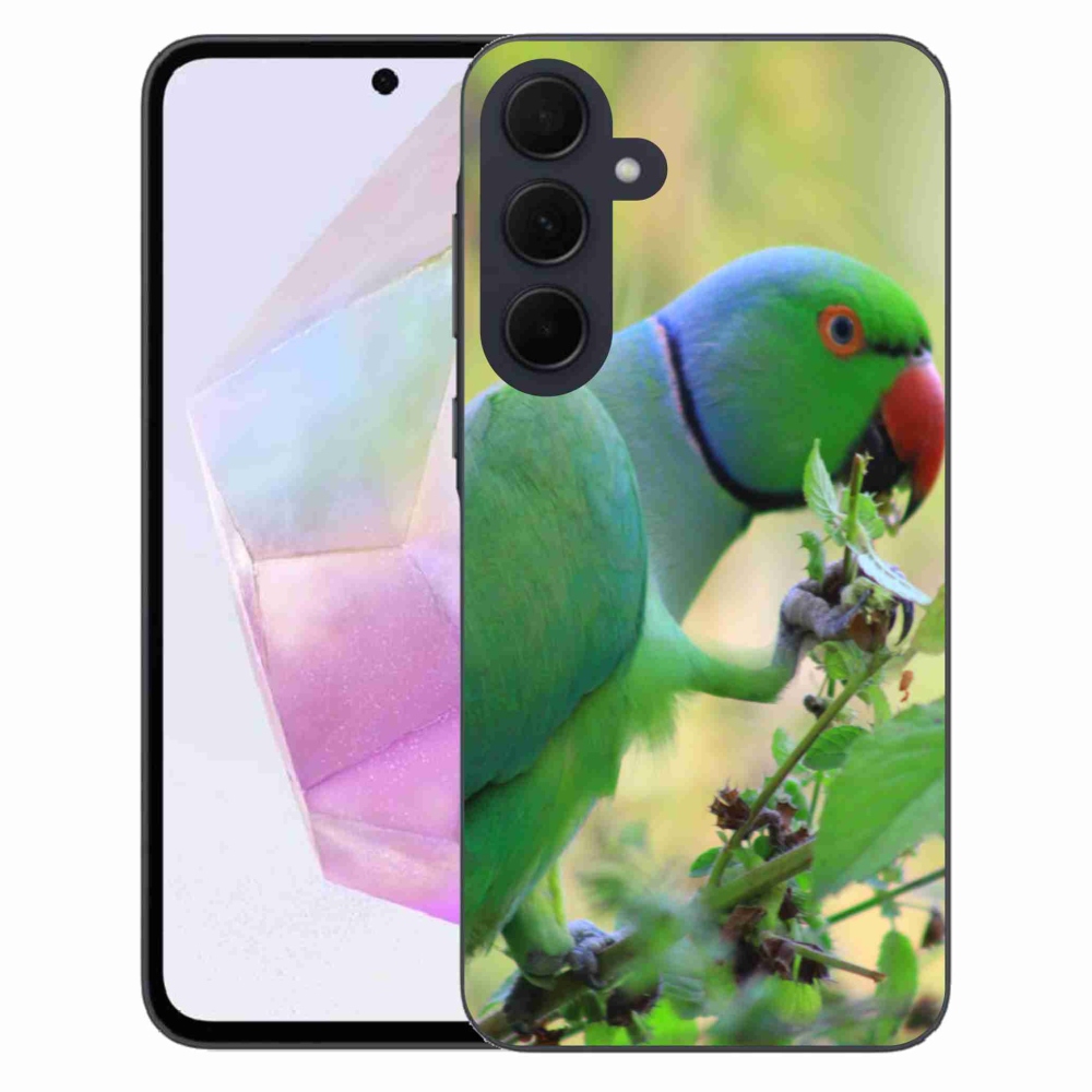 Gelový kryt mmCase na Samsung Galaxy A35 5G - papoušek alexandr