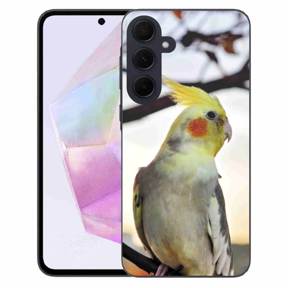 Gelový kryt mmCase na Samsung Galaxy A35 5G - papoušek korela