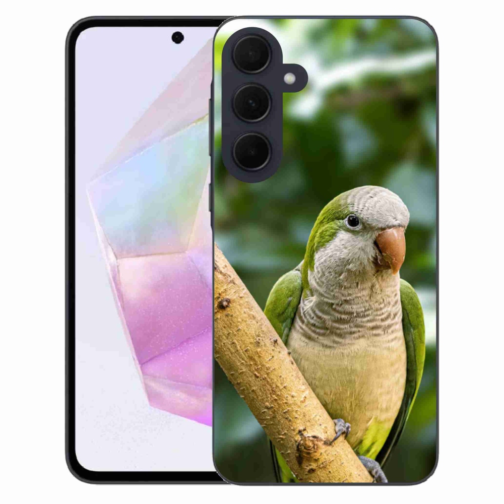 Gelový kryt mmCase na Samsung Galaxy A35 5G - papoušek mníšek