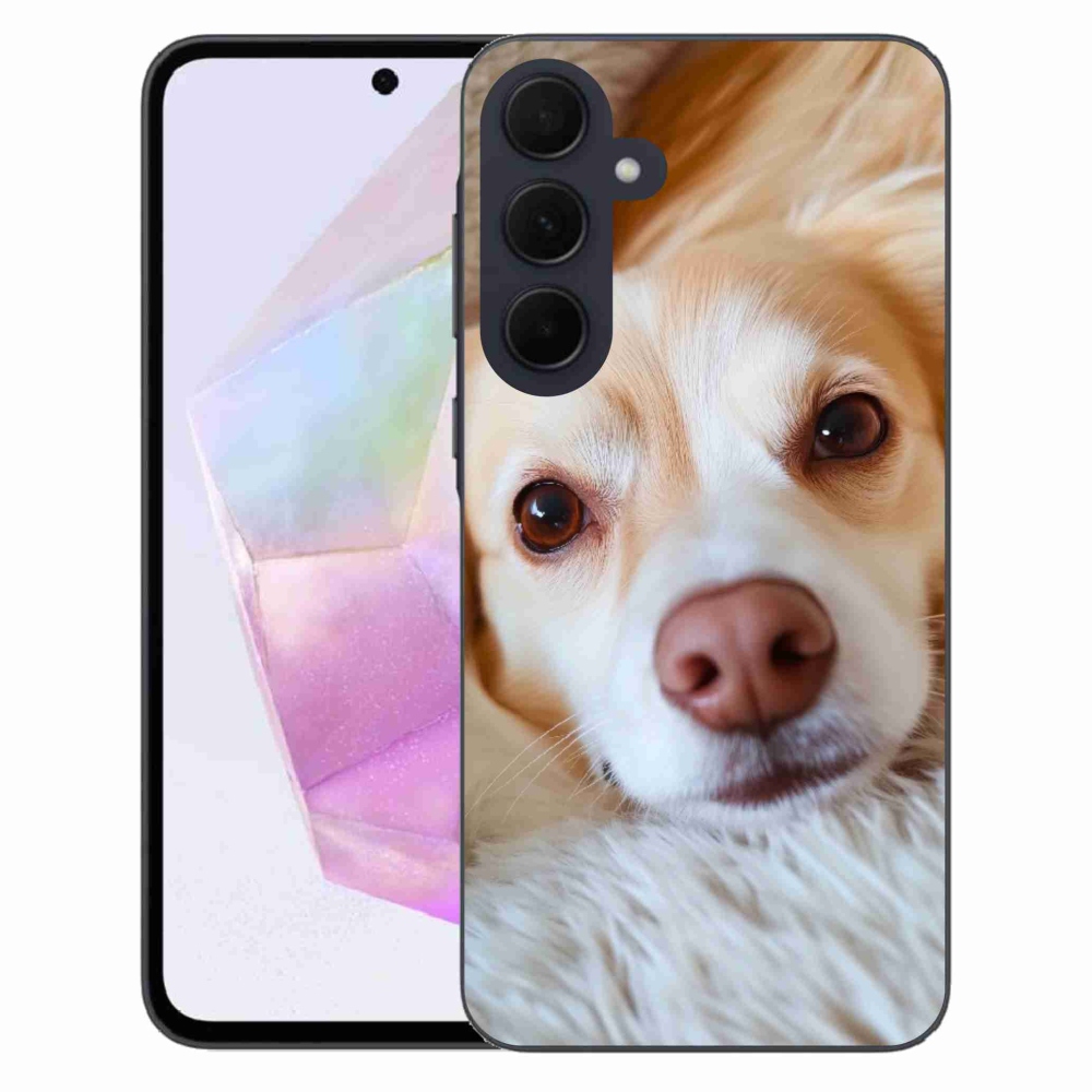 Gelový kryt mmCase na Samsung Galaxy A35 5G - Roztomilá čivava