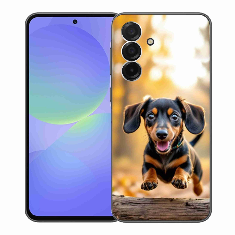 Gelový kryt mmCase na Samsung Galaxy A36 5G - jezevčík 2