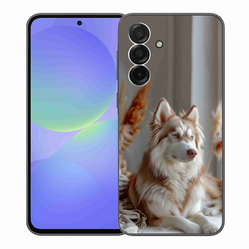 Gelový kryt mmCase na Samsung Galaxy A36 5G - klidný sibiřský husky