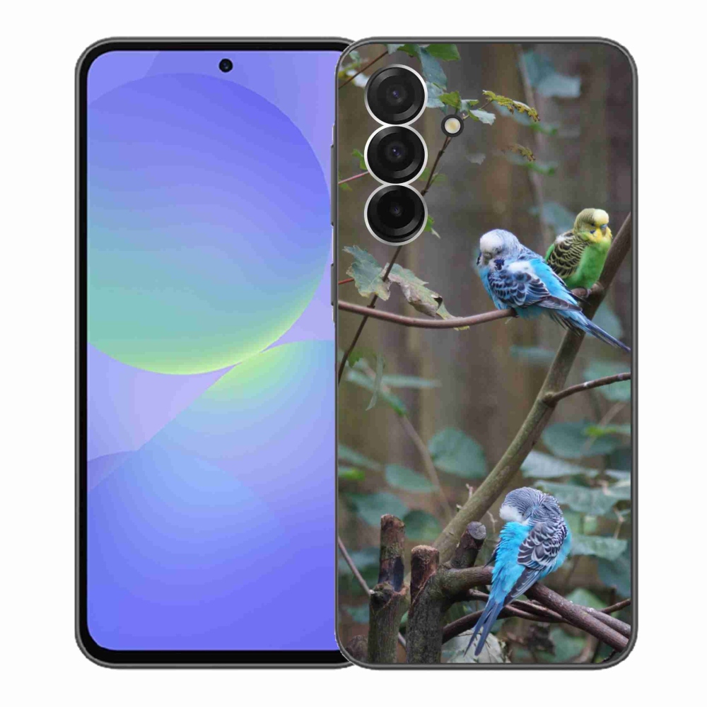 Gelový kryt mmCase na Samsung Galaxy A36 5G - papoušci na větvi