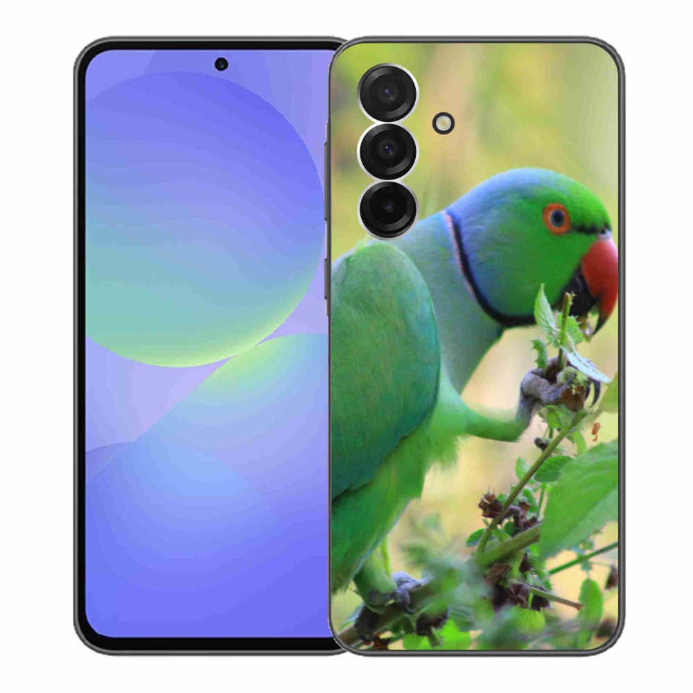 Gelový kryt mmCase na Samsung Galaxy A36 5G - papoušek alexandr