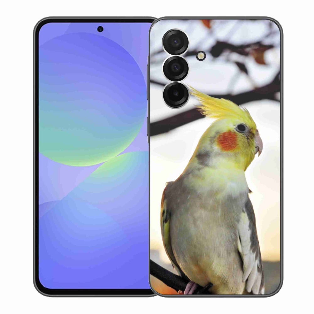 Gelový kryt mmCase na Samsung Galaxy A36 5G - papoušek korela